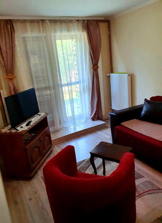 Apartman Sergej 2 索科矿泉村 外观 照片