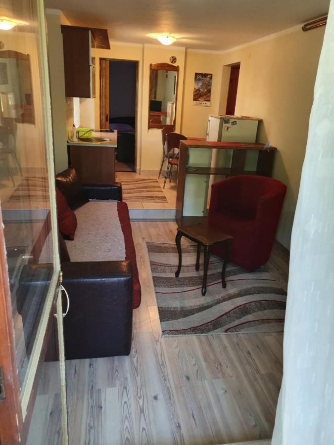 Apartman Sergej 2 索科矿泉村 外观 照片