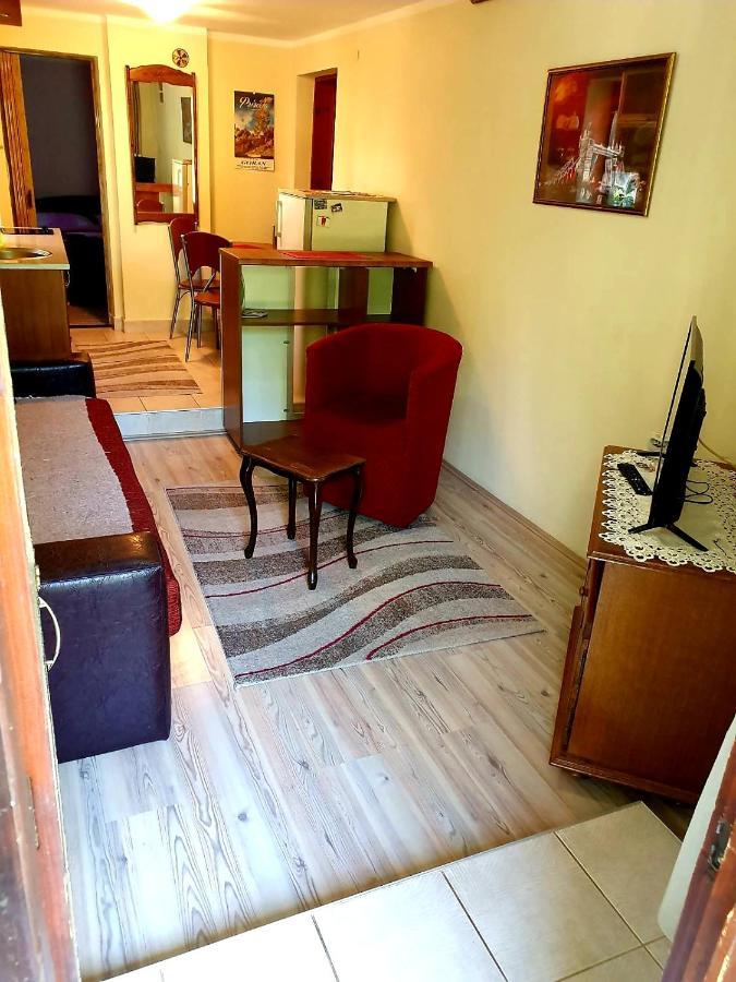 Apartman Sergej 2 索科矿泉村 外观 照片