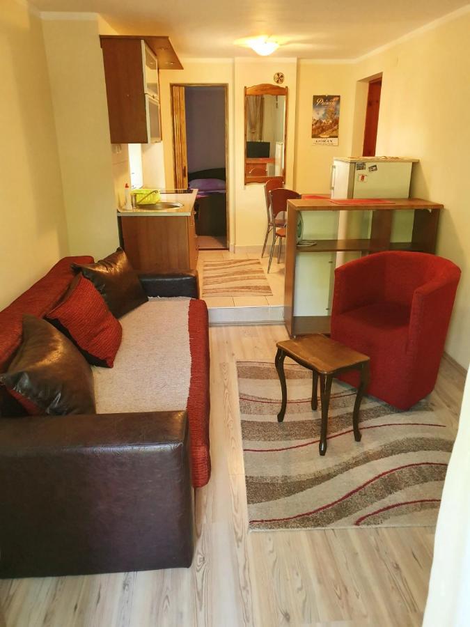 Apartman Sergej 2 索科矿泉村 外观 照片