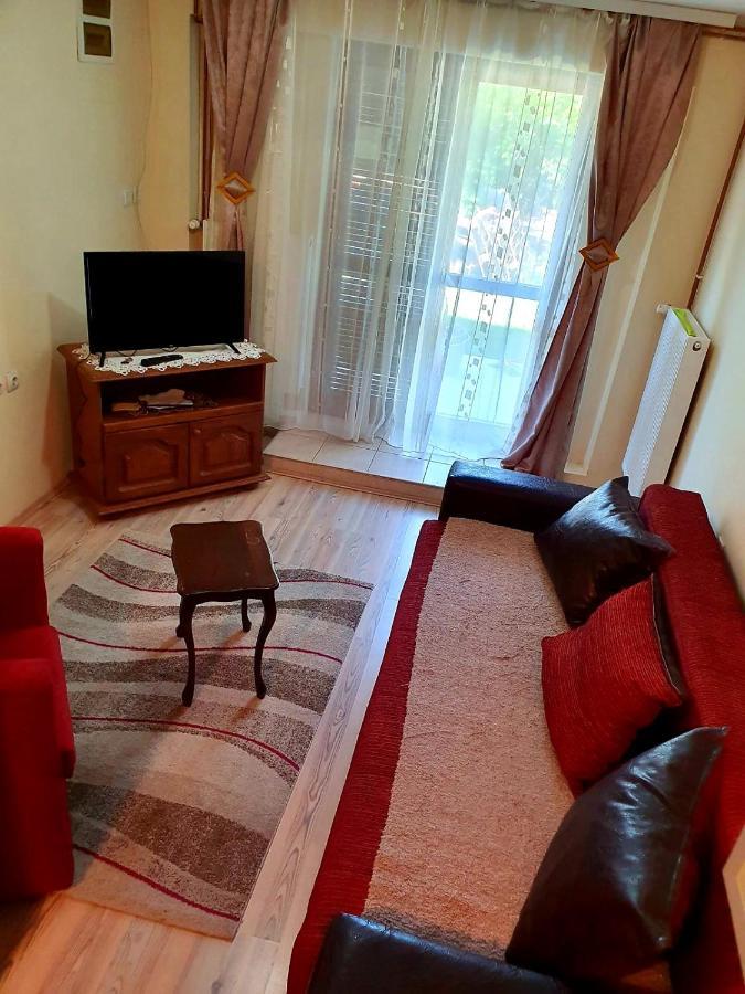 Apartman Sergej 2 索科矿泉村 外观 照片