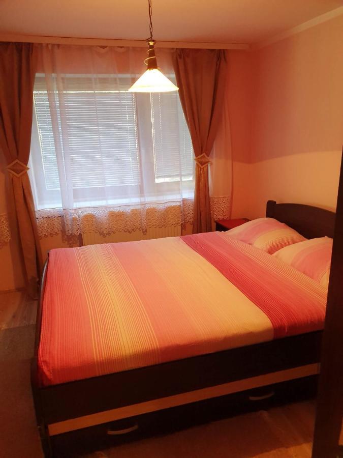Apartman Sergej 2 索科矿泉村 外观 照片