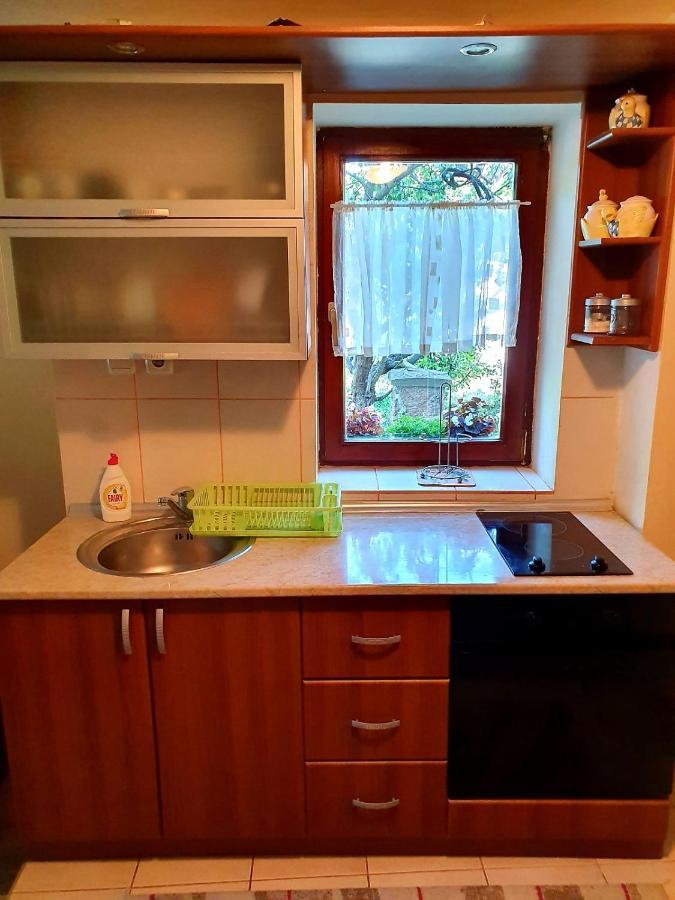 Apartman Sergej 2 索科矿泉村 外观 照片